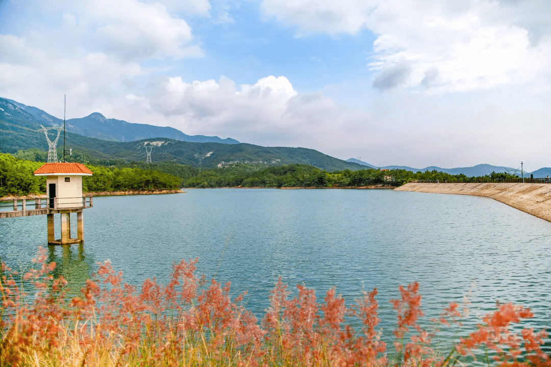 厦门同安田园竹坝