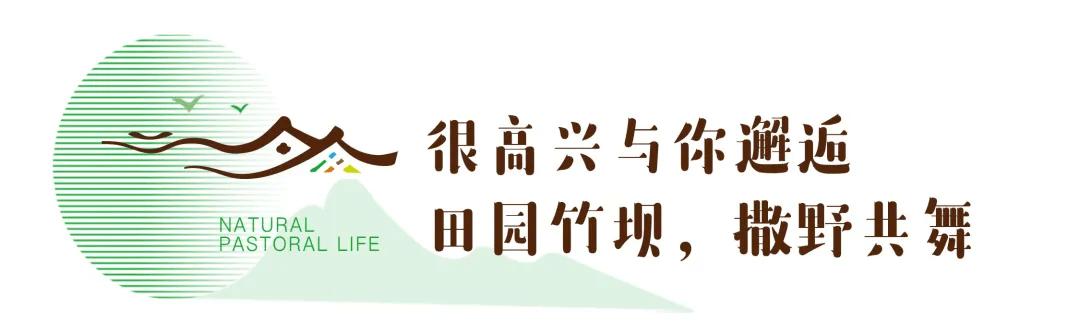 src=http___p8.itc.cn_q_70_images03_20210205_33fb2fd2a44549b6832e8647fe95f658.png&refer=http___p8.itc.jpg